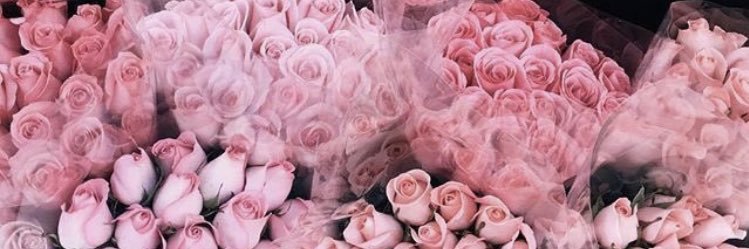 Reichhh3's profile banner image