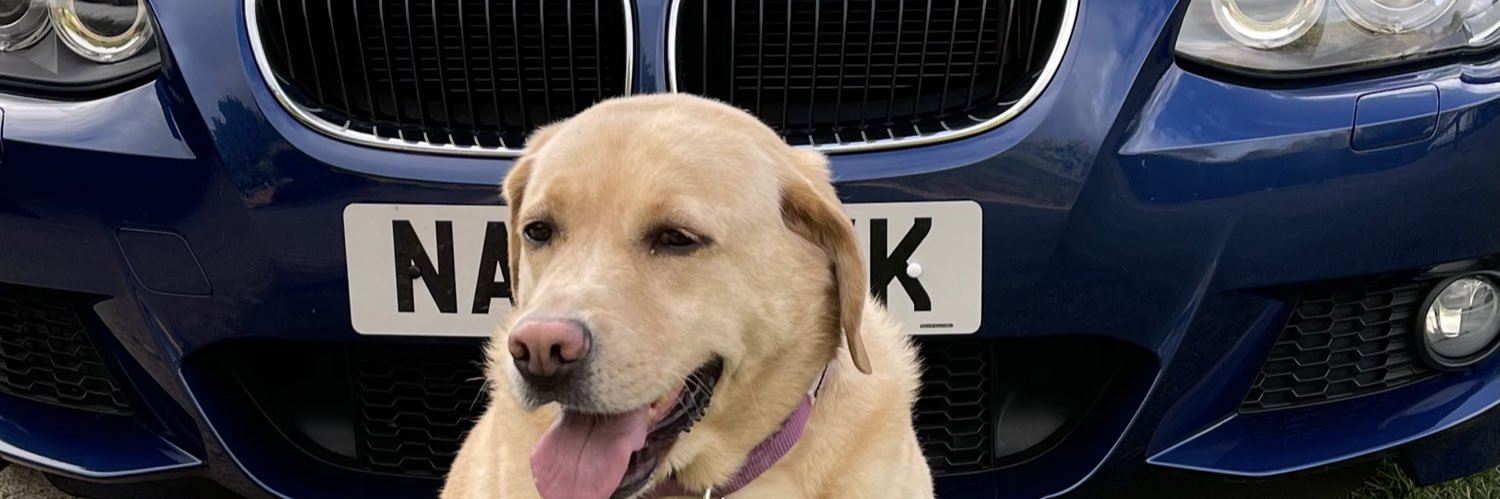 SoldTheDipAgain's profile banner image