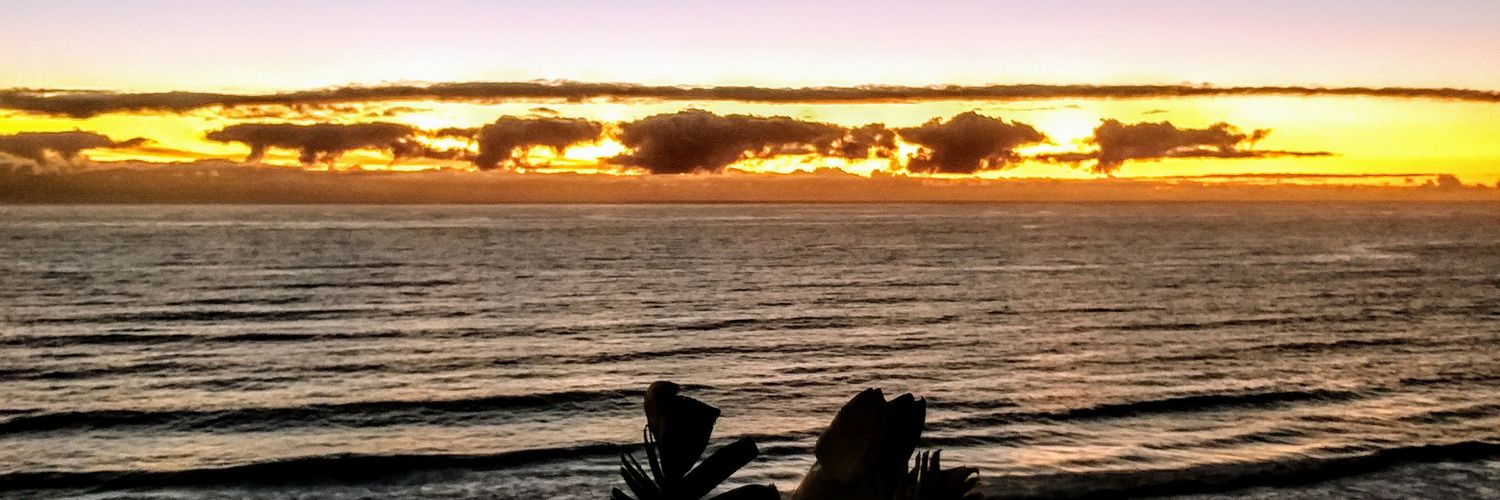 MasterChiefZAR's profile banner image