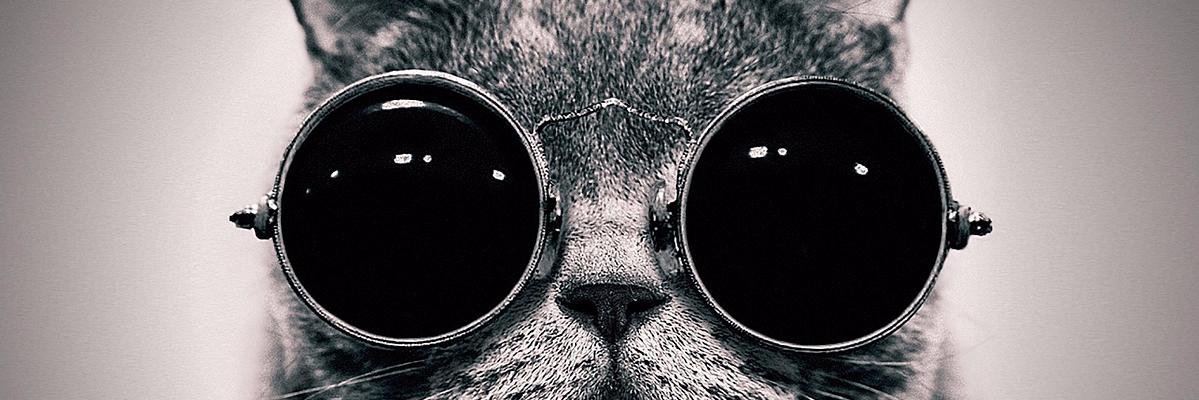 nawfilrahim's profile banner image