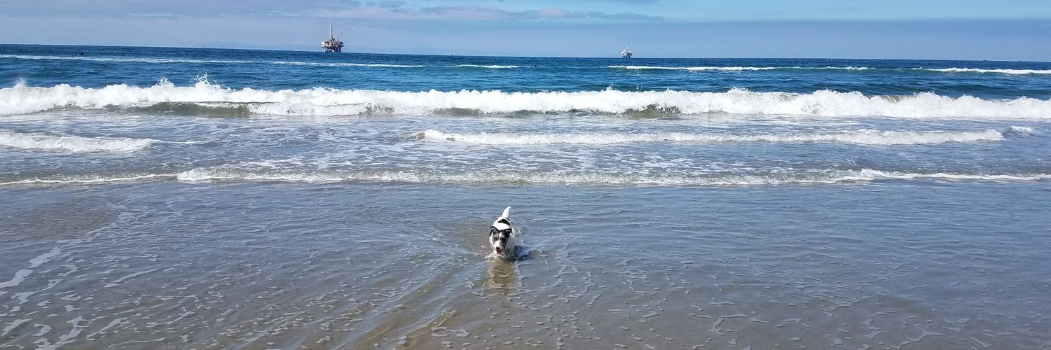 bootswillie's profile banner image