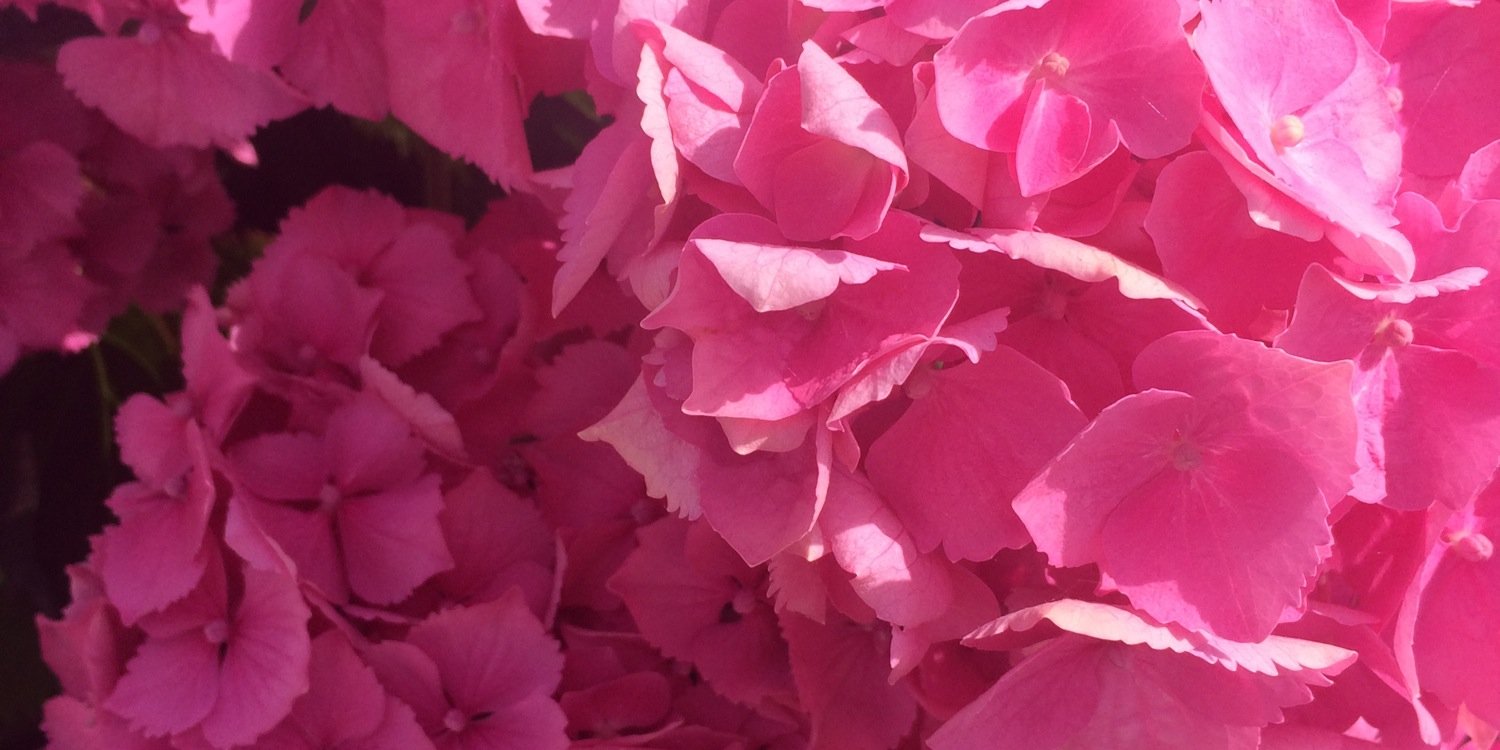 kellie_poole's profile banner image