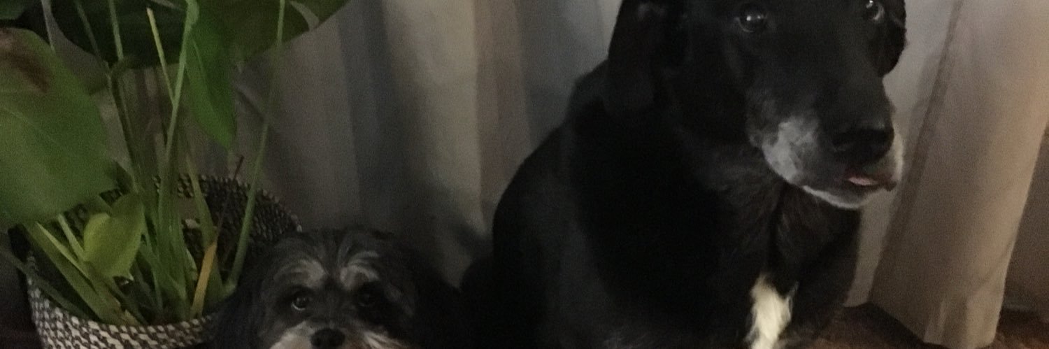 jmev__'s profile banner image