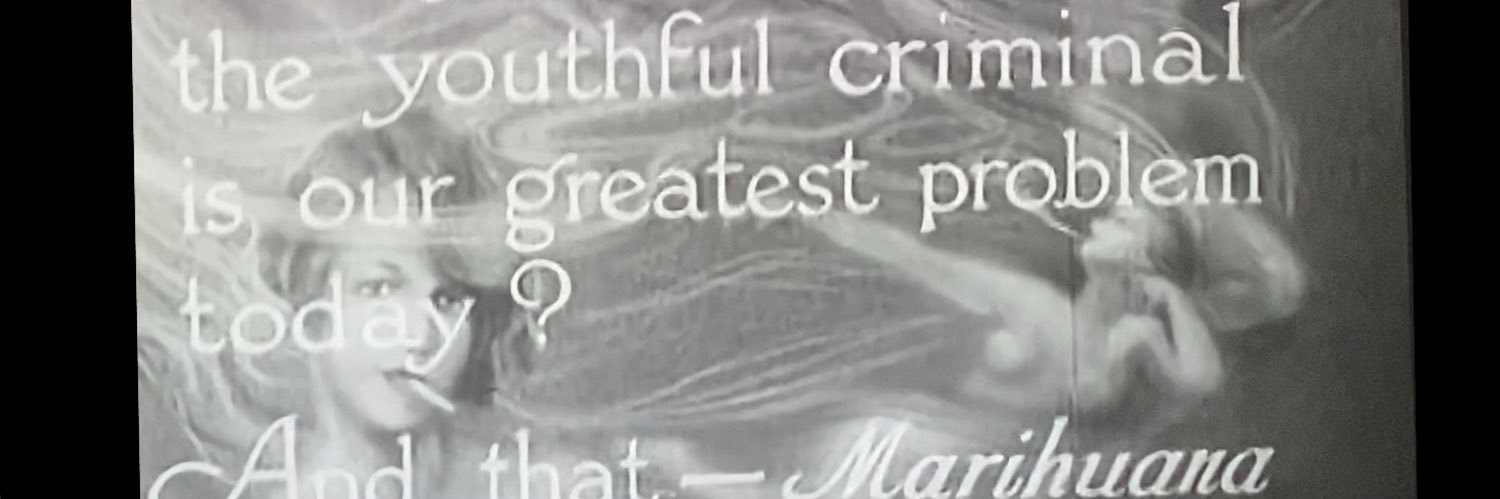 vivalamota_'s profile banner image