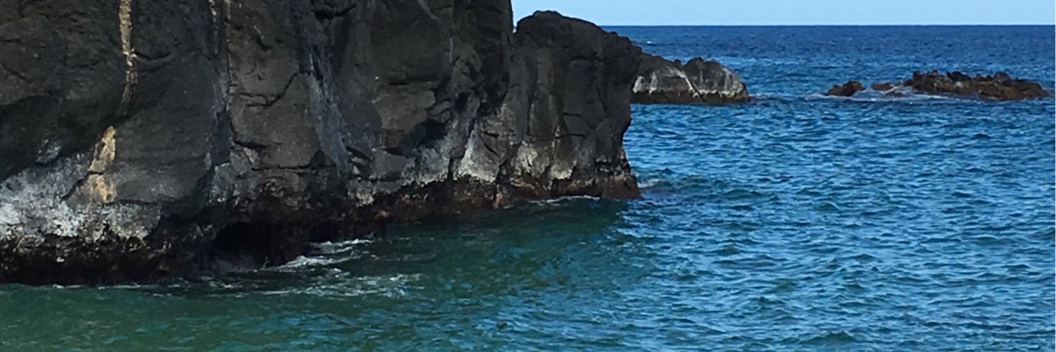 DanChew68's profile banner image