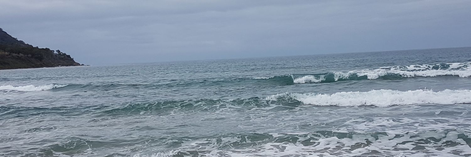 silviabernix's profile banner image