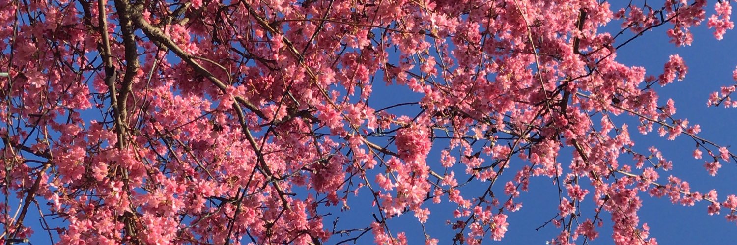 hollygrinstead's profile banner image