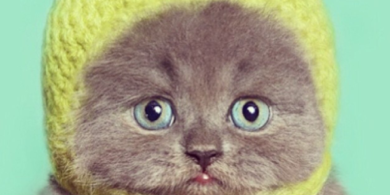constancebetts's profile banner image