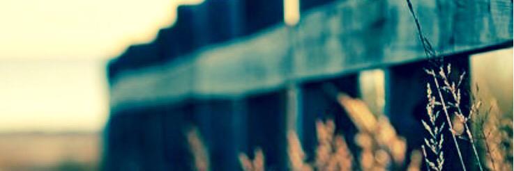 TheLessmaster's profile banner image
