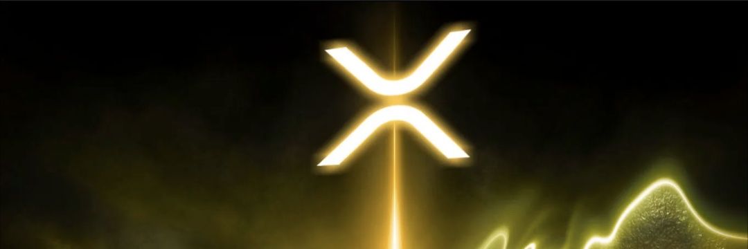 Crypto Coyote banner