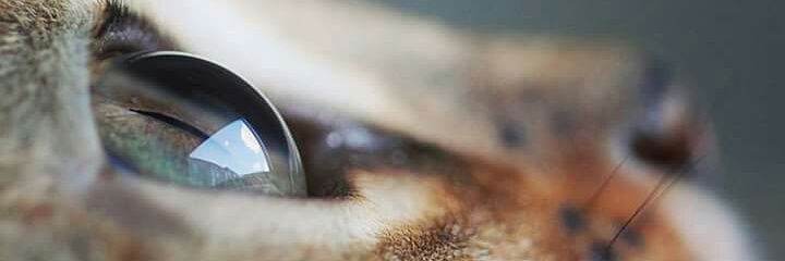 jvmazas's profile banner image