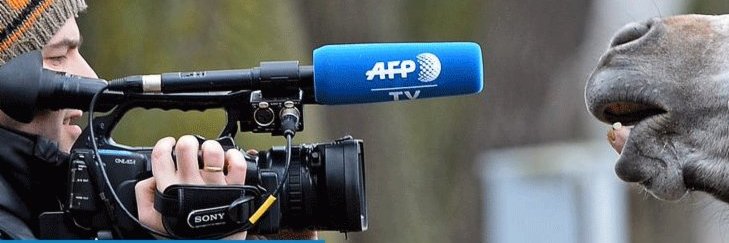 Journalistes Fabuleux ! banner