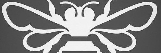 DAYcallmeBEEZ🐝 banner