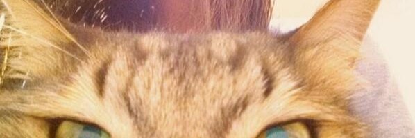 Punim_Mkh's profile banner image