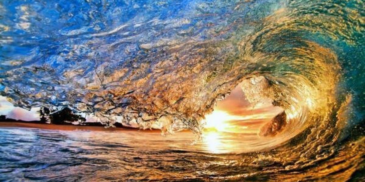 Elaine Moldovan banner