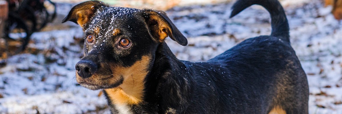 thee_jeff's profile banner image