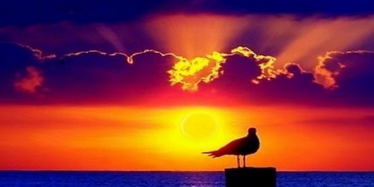 affaf_alotaibi's profile banner image
