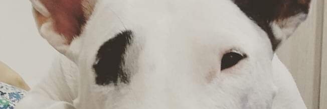 juagomba's profile banner image