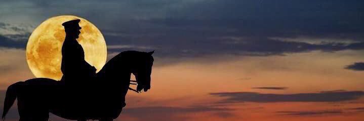 TC1966osman's profile banner image