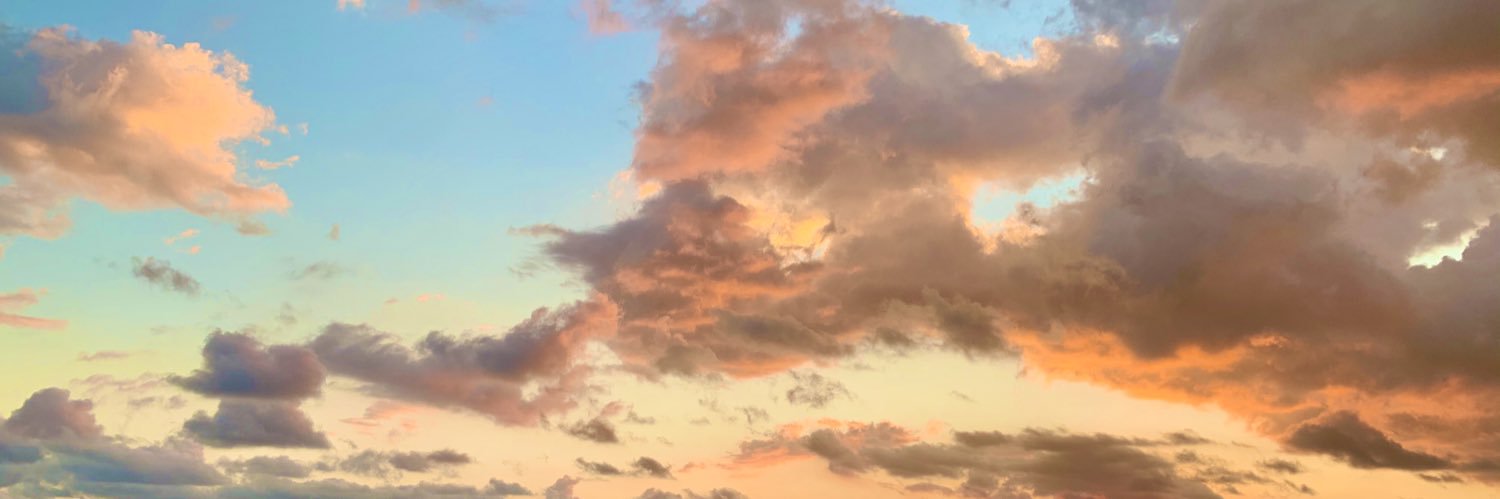 emilyphillips28's profile banner image