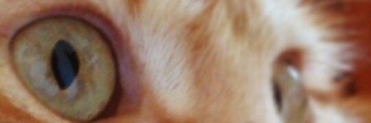 isie93's profile banner image