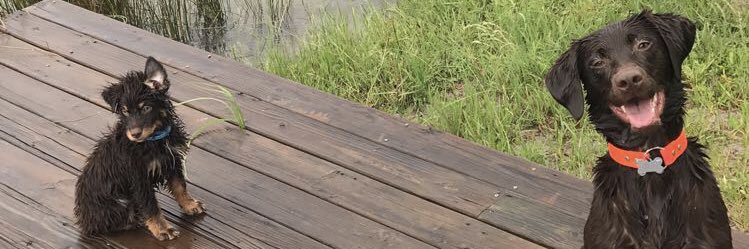 Willyum25's profile banner image