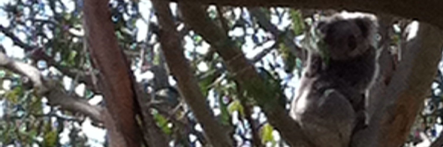 sharon_vog's profile banner image
