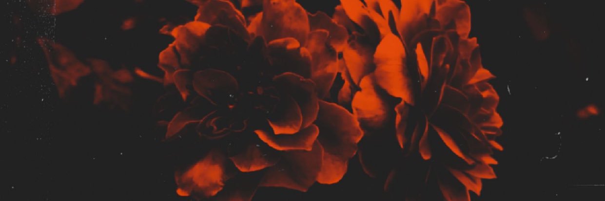 stellawisdom1's profile banner image