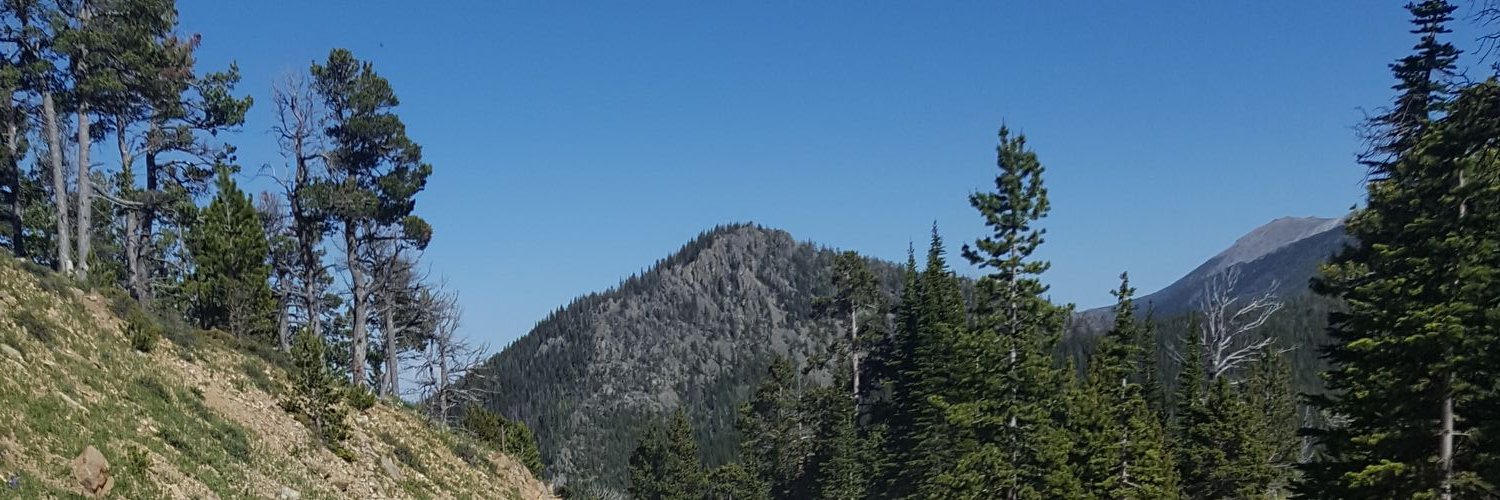 jensannon's profile banner image