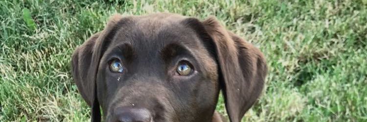 K_Eppp's profile banner image