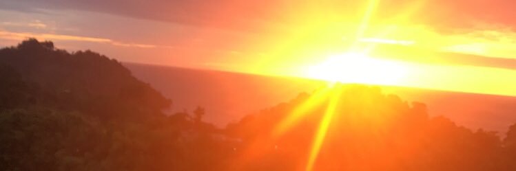 stephyyhods's profile banner image
