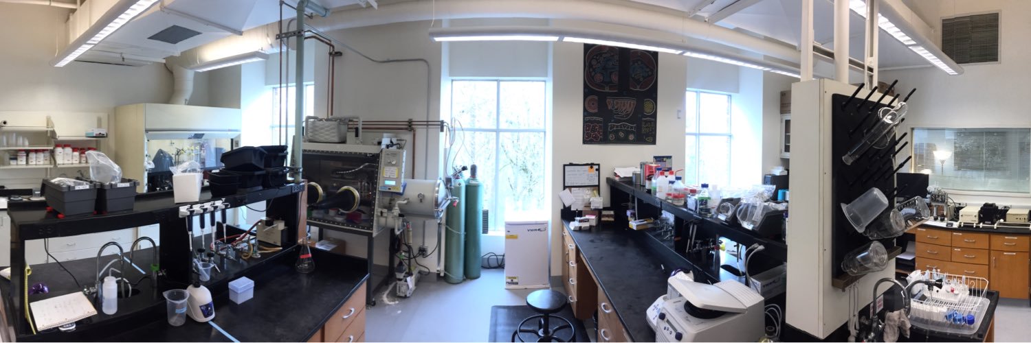 Kelly Chacón banner