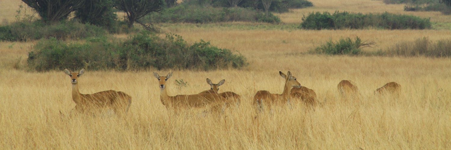 Frederik Declercq banner