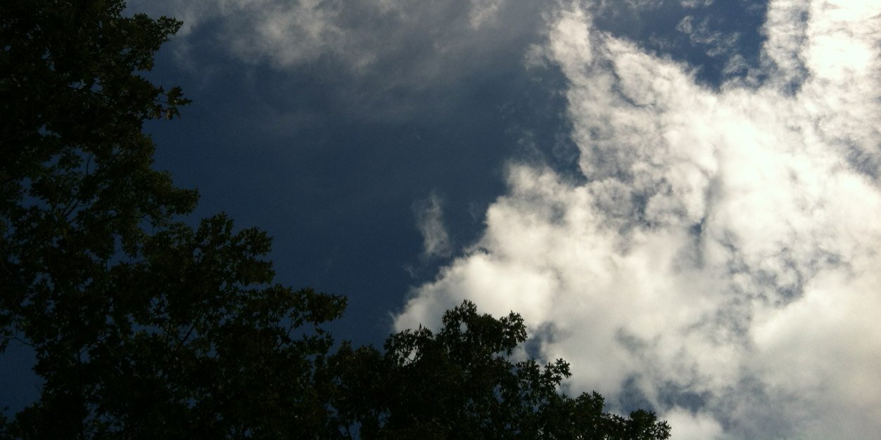 BucknerSherri's profile banner image