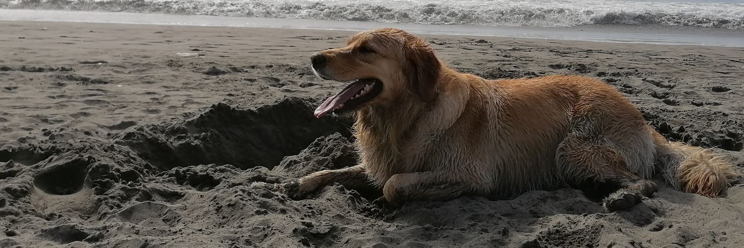 Sunramax's profile banner image