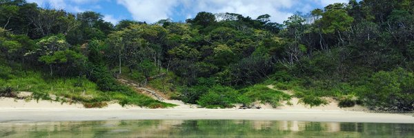 emschec Profile Banner