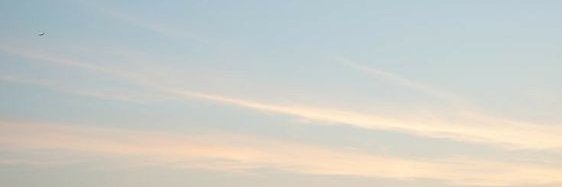 Faza banner