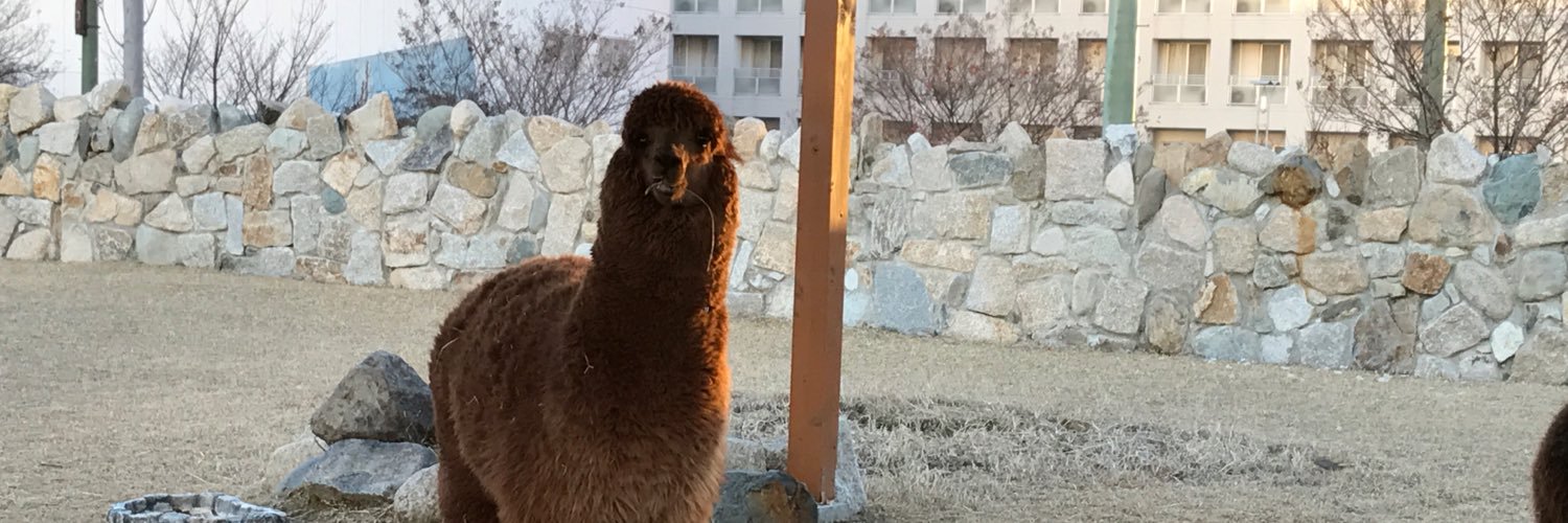 XEmmmm's profile banner image