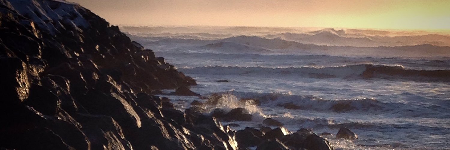 Daniel-watkins banner