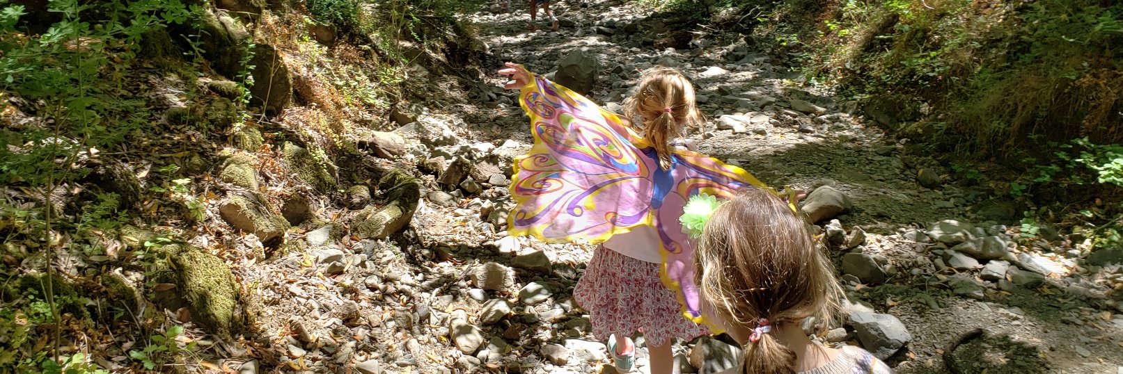 Tracy Thatcher banner