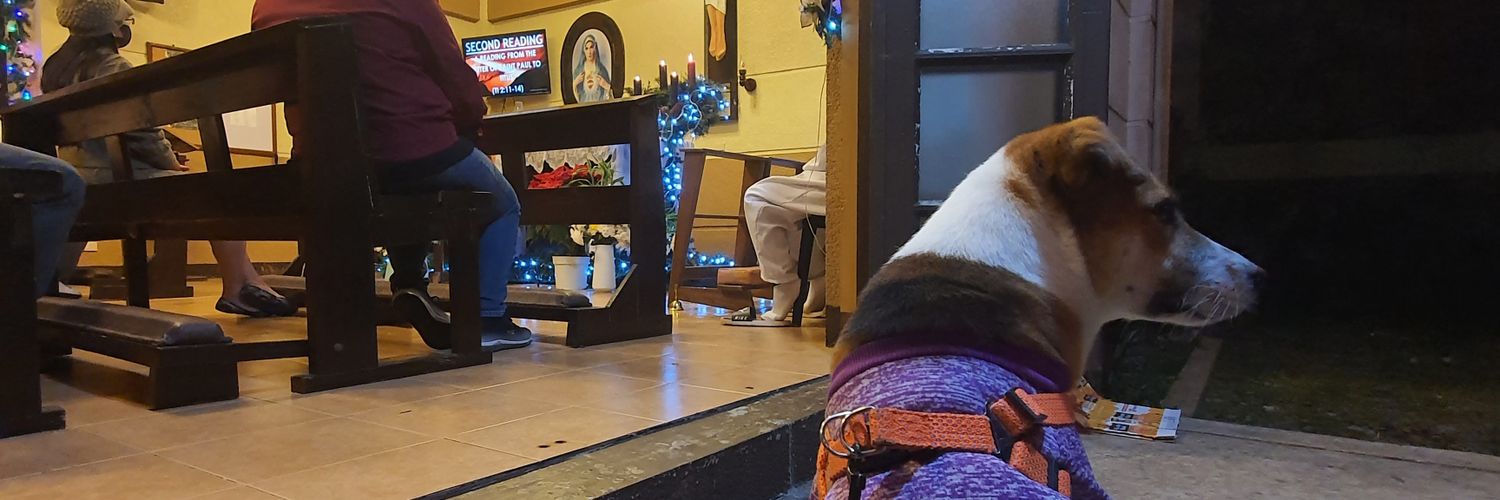 JEMONATOR_'s profile banner image