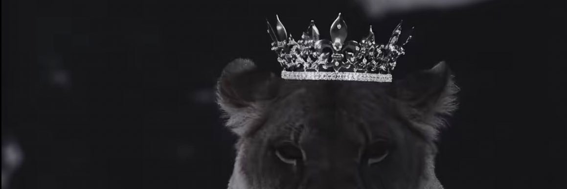 manal.αlѕυвαie 🍃 banner