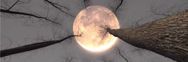 Micro_concept Profile Banner