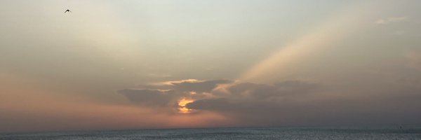 rlpezd Profile Banner