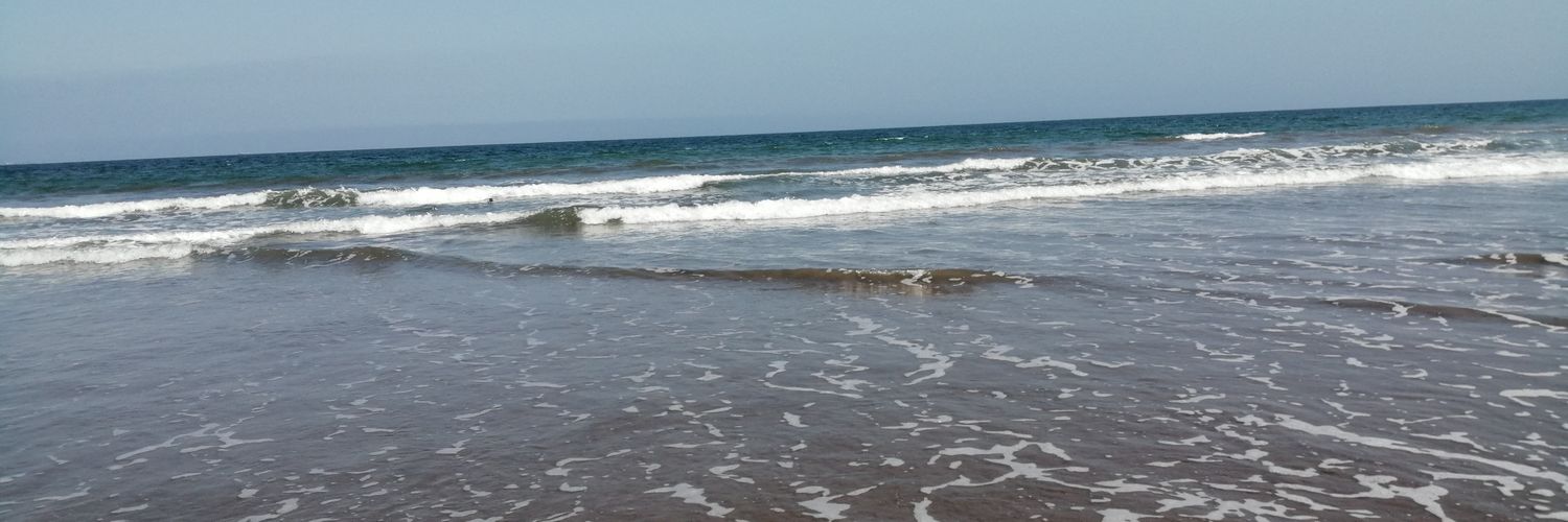 Sandra_scl's profile banner image