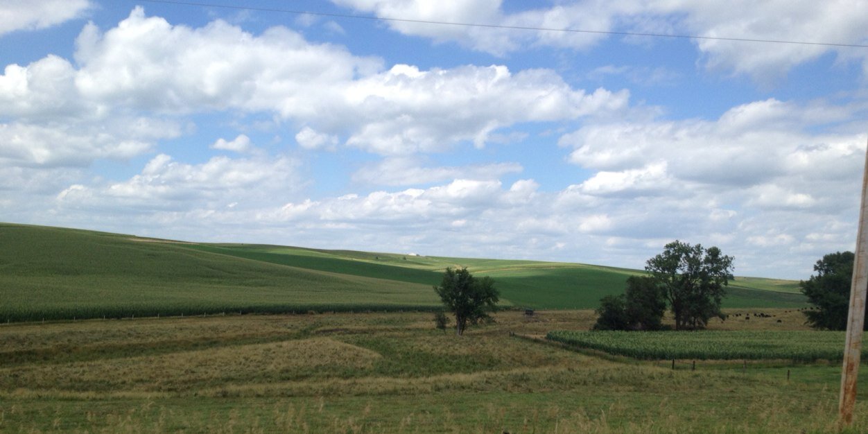 shelbsBAM's profile banner image
