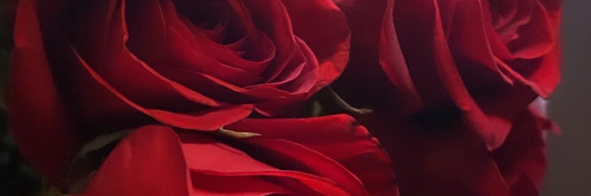 _EyeAmBre's profile banner image
