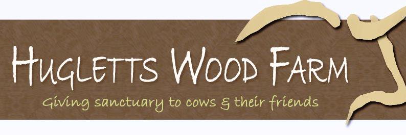 HuglettsWood's profile banner image