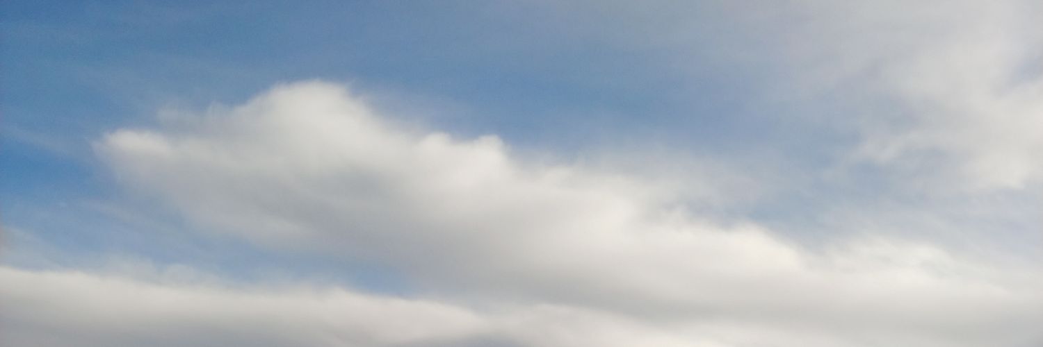 PNUT_17's profile banner image