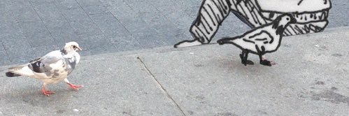 kutkiiind's profile banner image